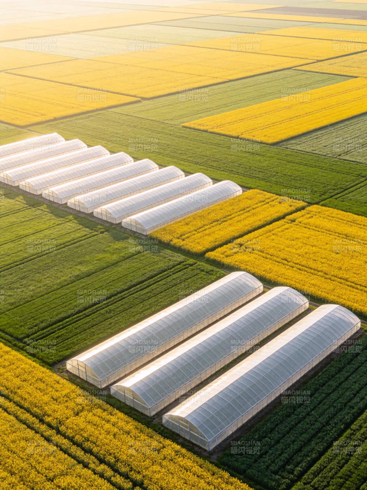 田园温室画卷图片