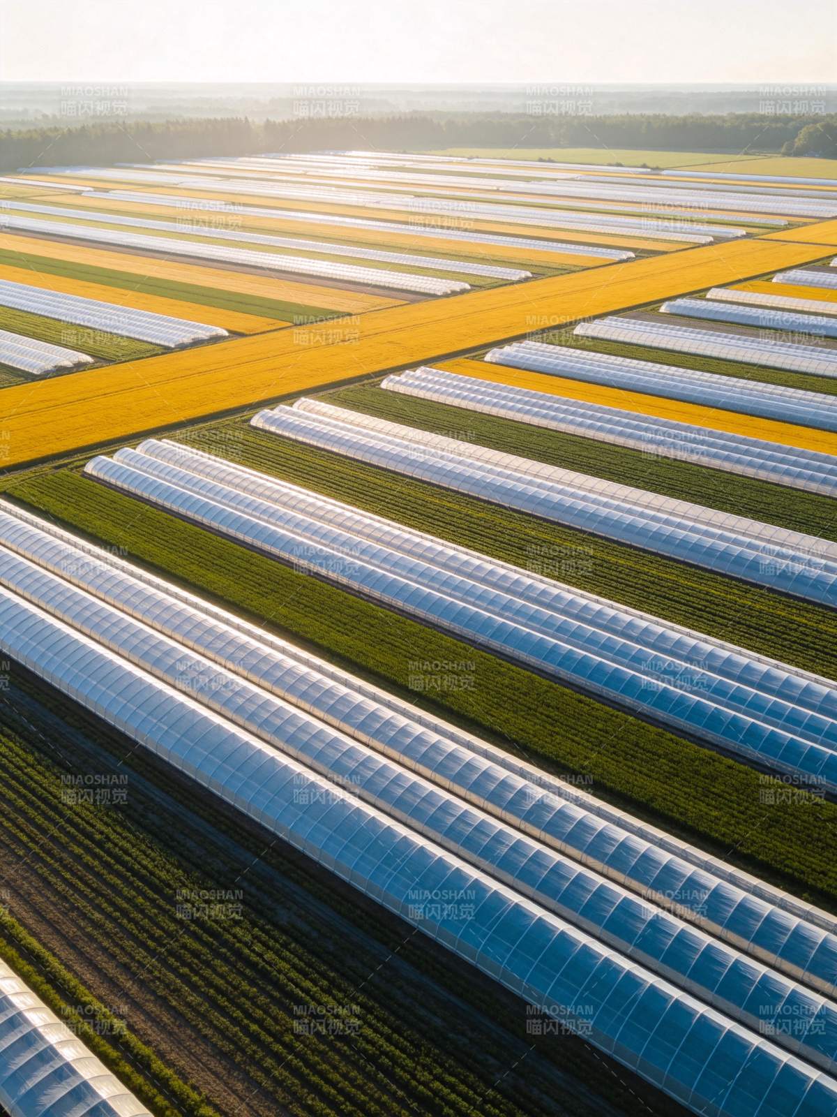 温室农田航拍图图片