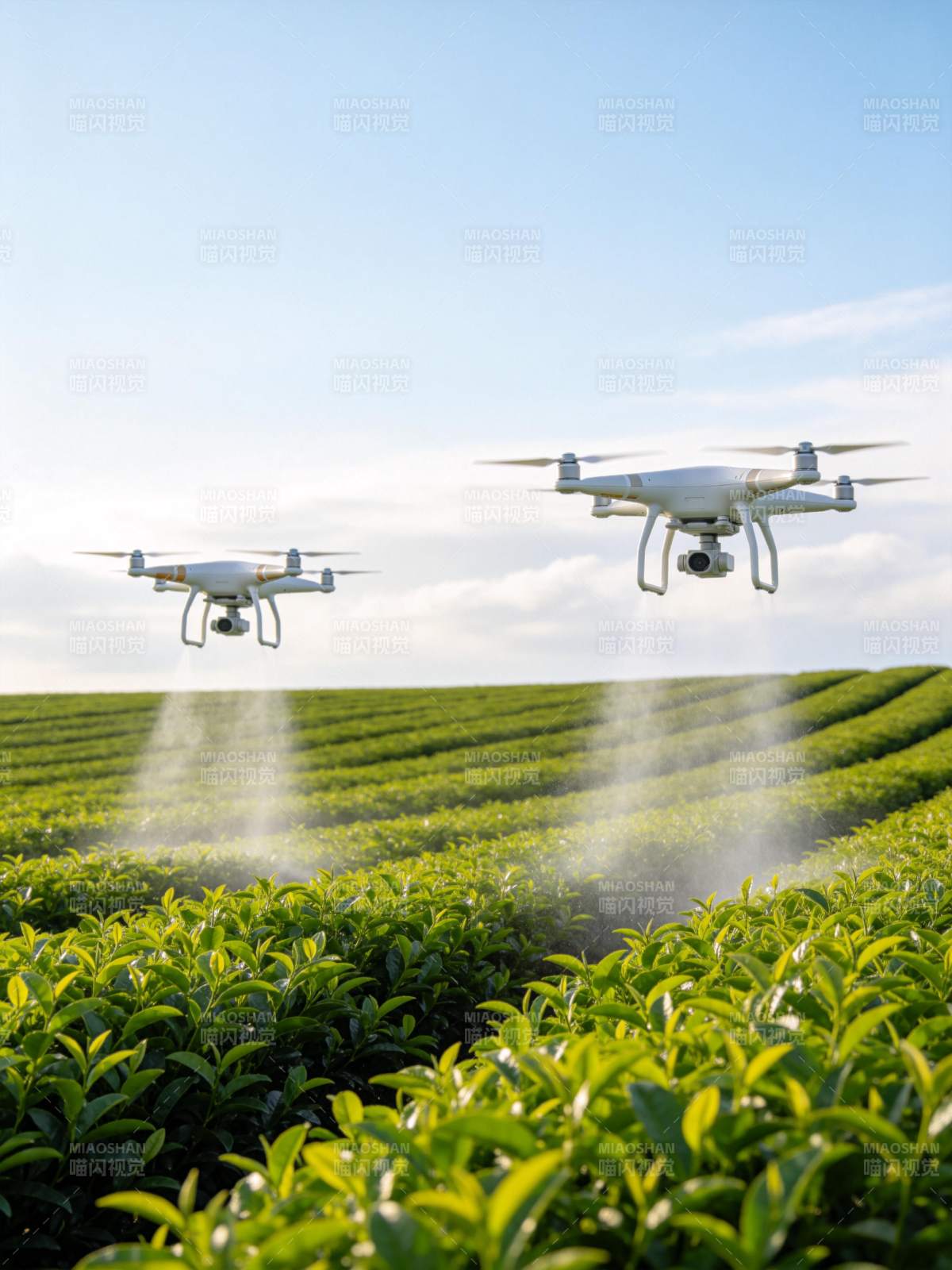 无人机喷洒茶园图片