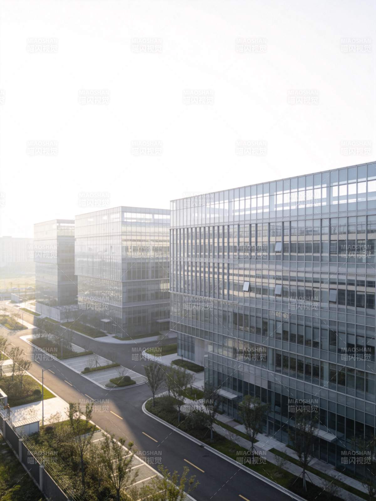 现代玻璃幕墙办公楼群与园区道路景观图片
