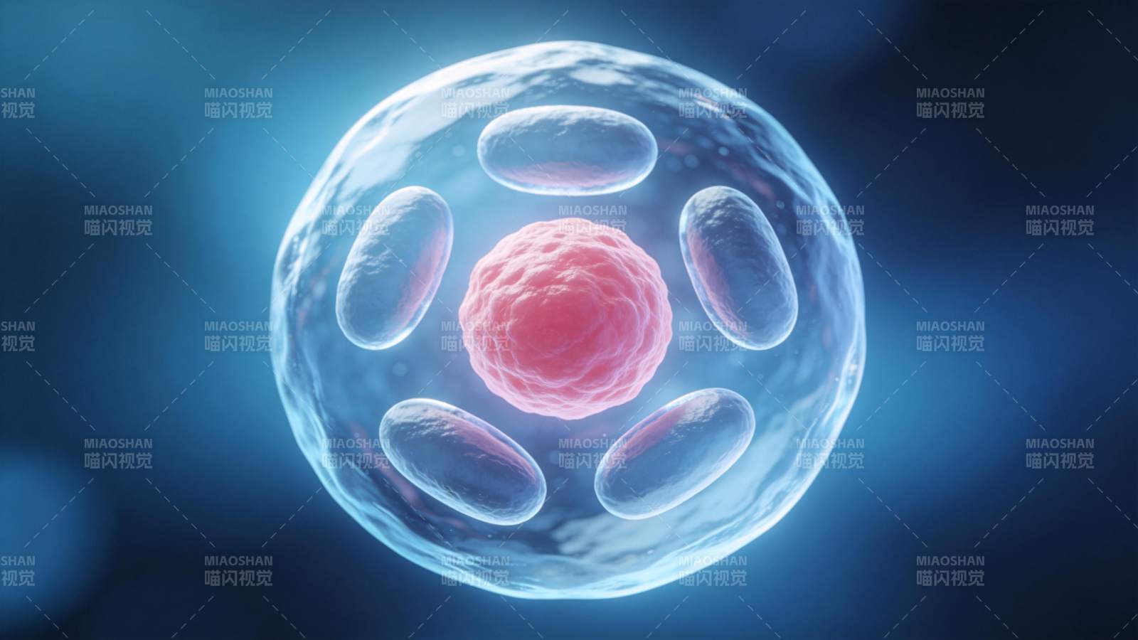 细胞结构示意图图片