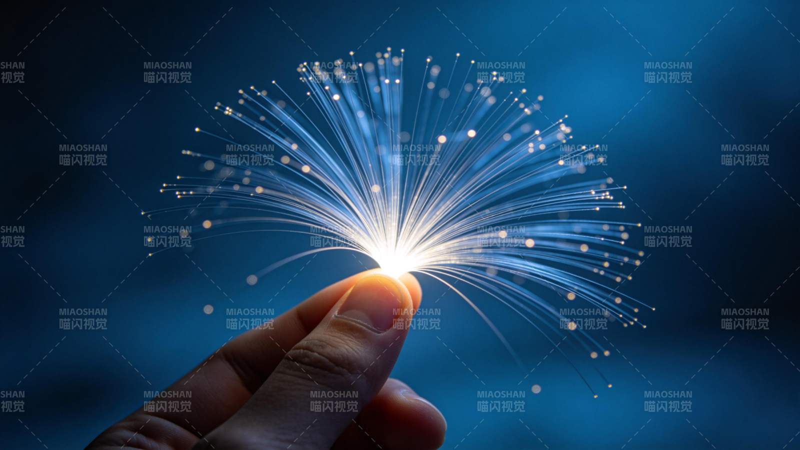 指尖绽放的光之花图片