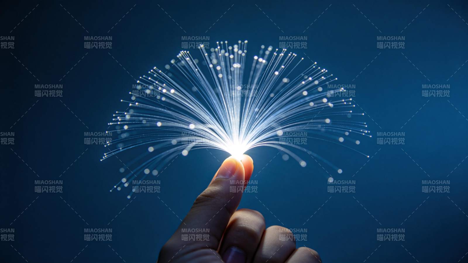 指尖绽放的光之花图片