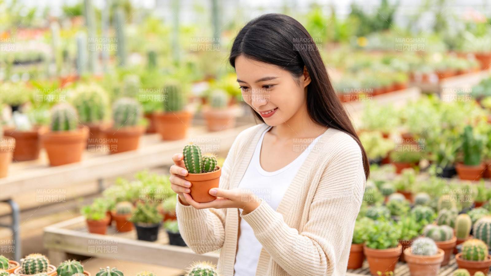女子手捧仙人掌图片
