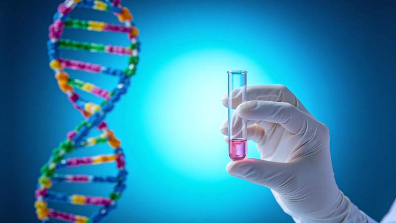 DNA与试管实验图片