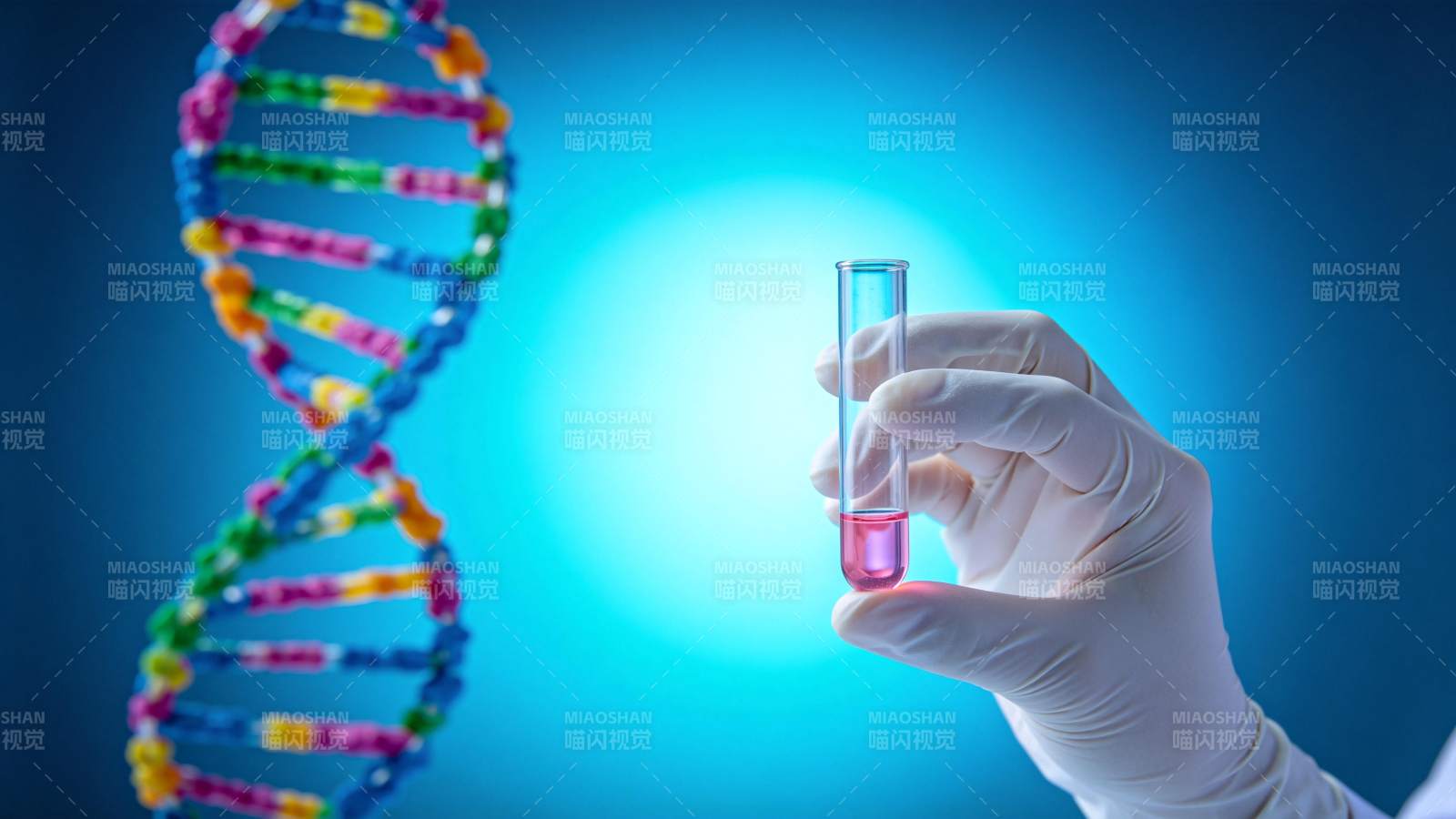 DNA与试管实验图片