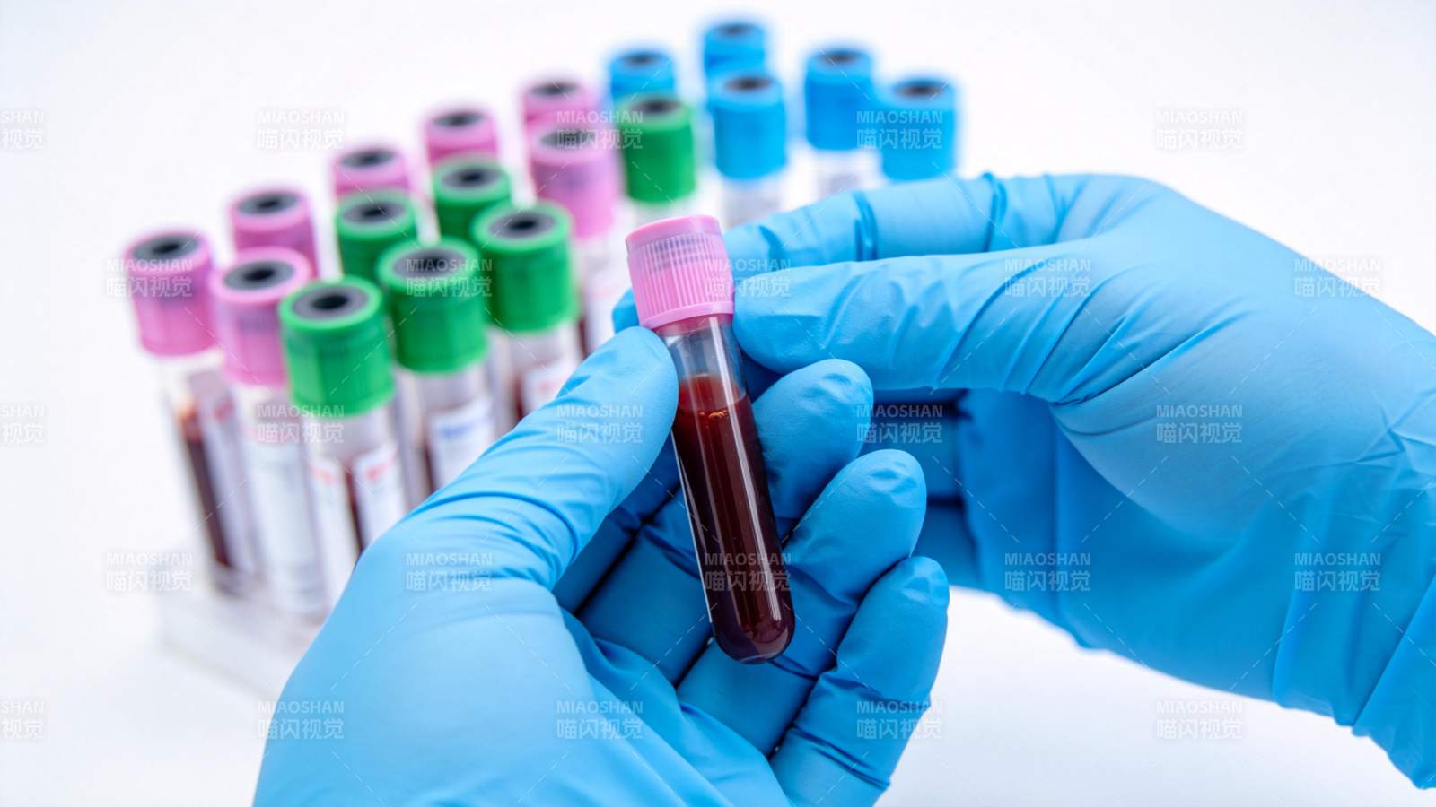血样检测中图片