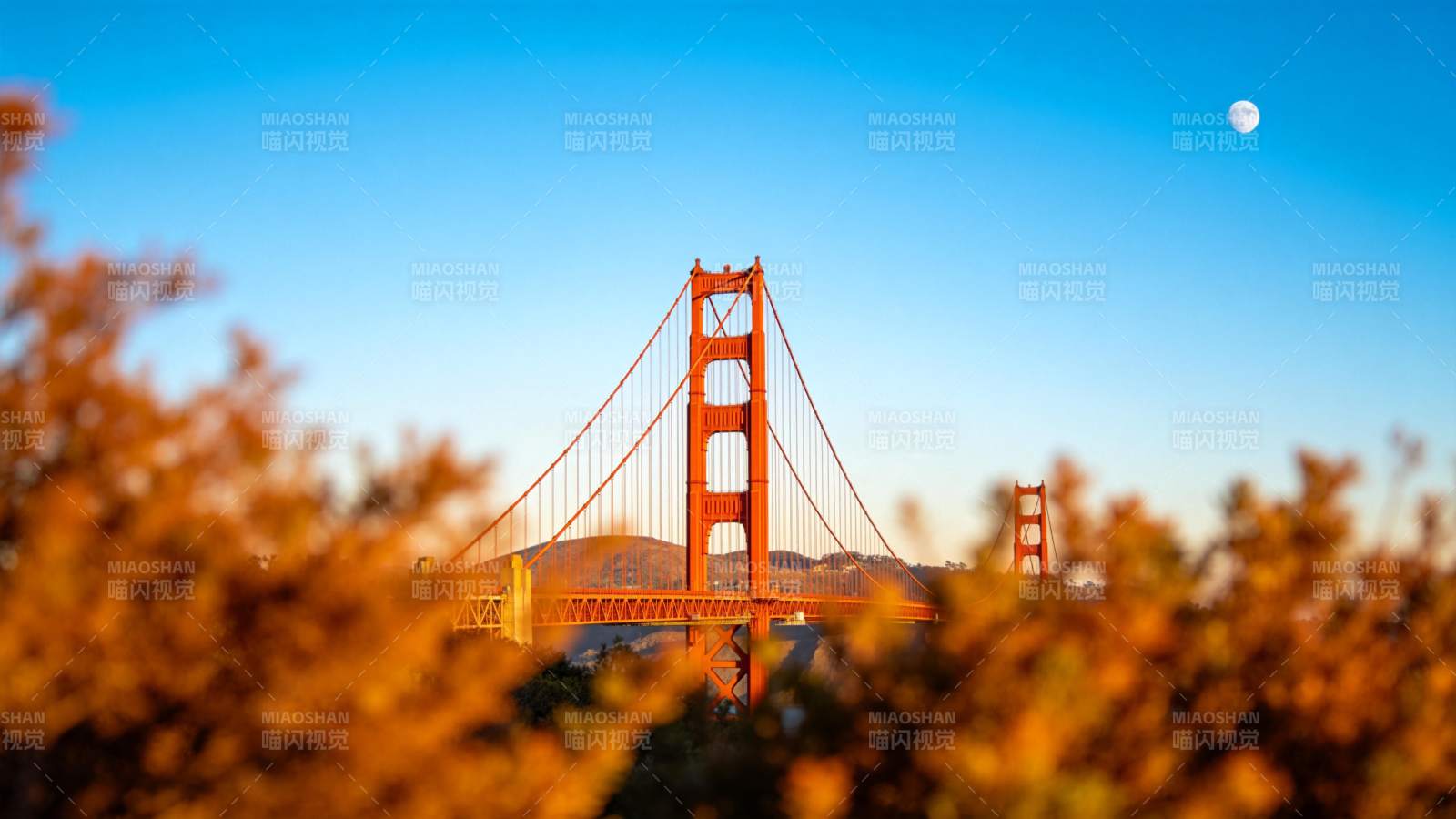 金门大桥月夜景图片