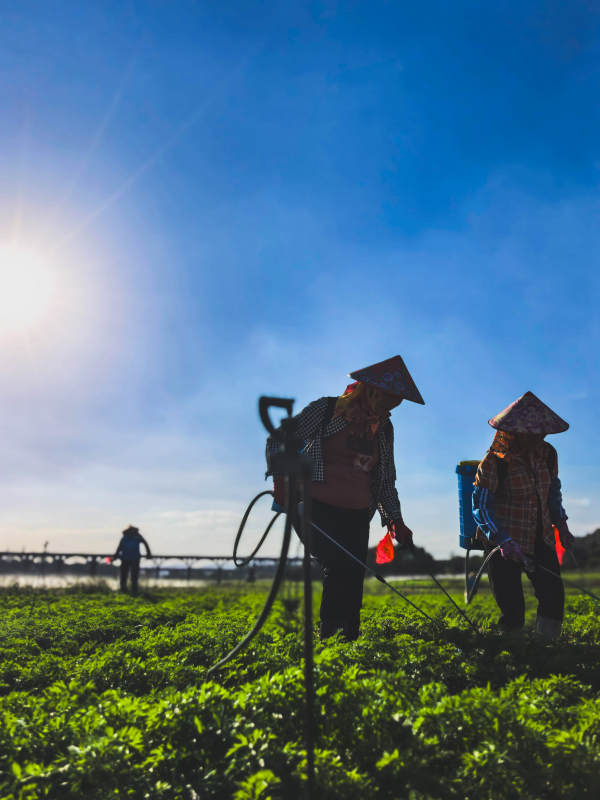 田间劳作的农民图片