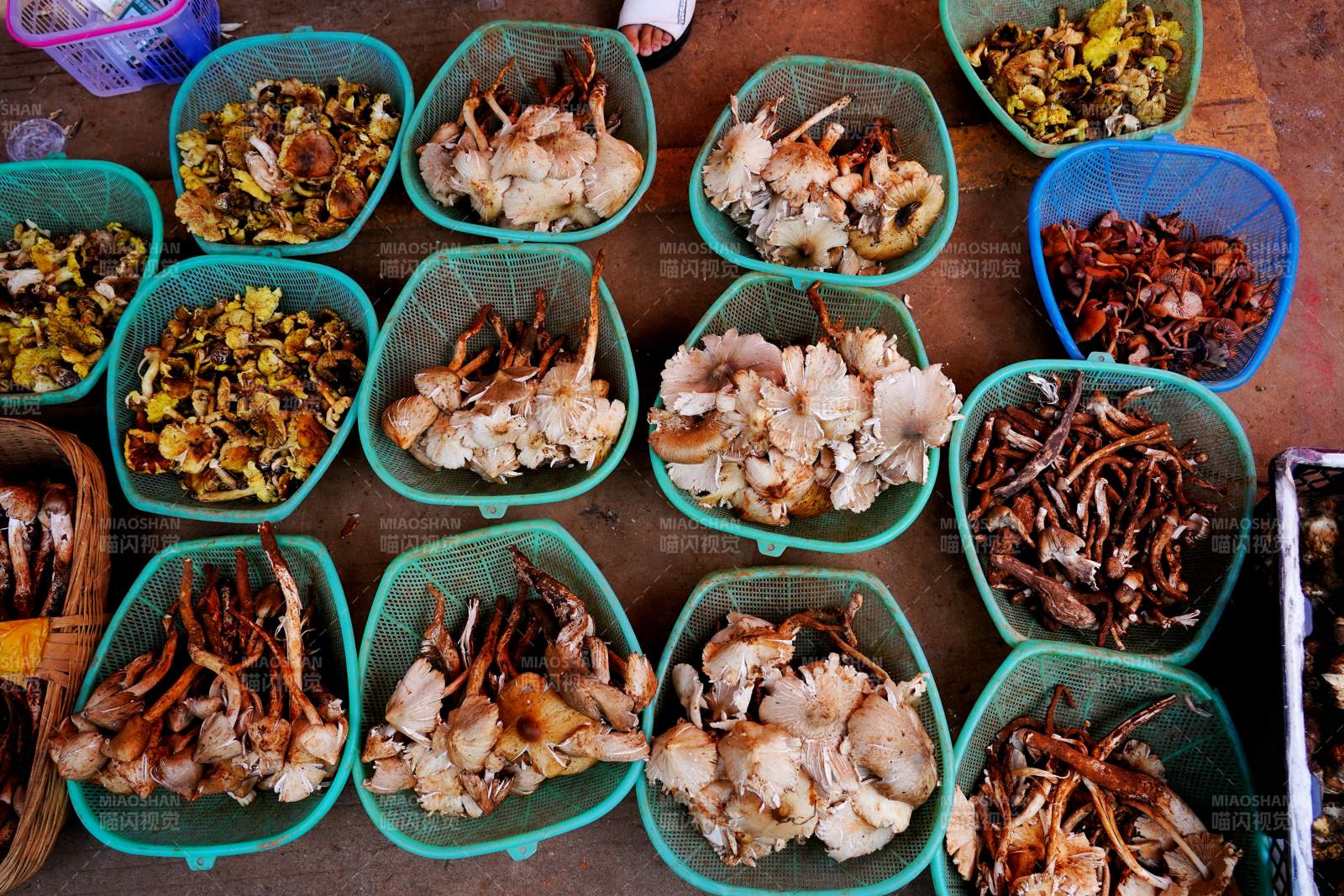 市场上的干海鲜摊位图片