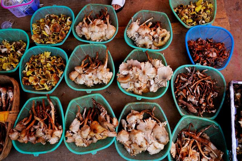 市场上的干海鲜摊位图片