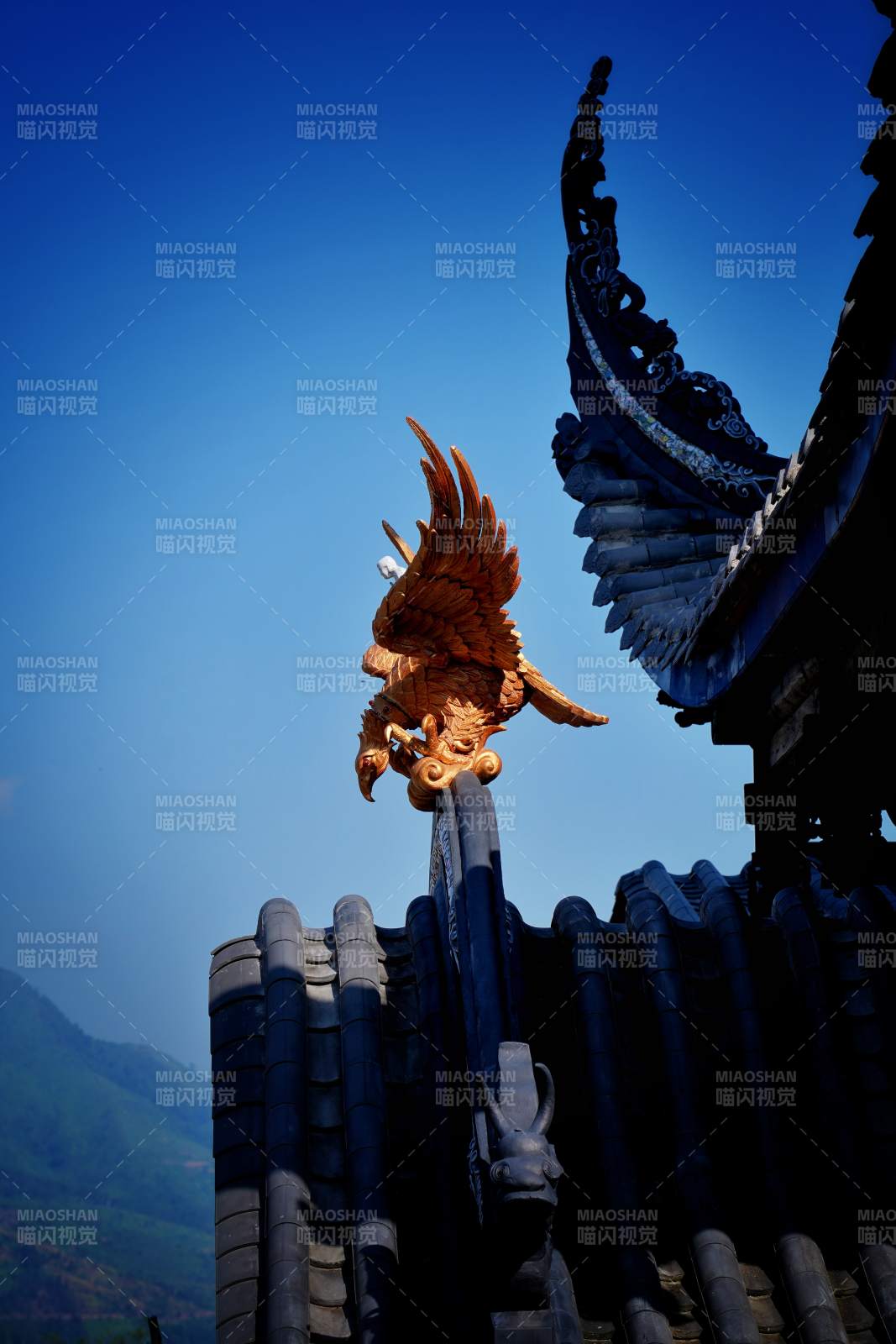 飞檐上的金凤图片