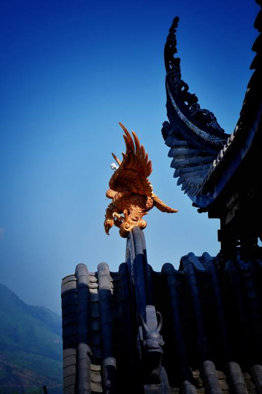 飞檐上的金凤图片