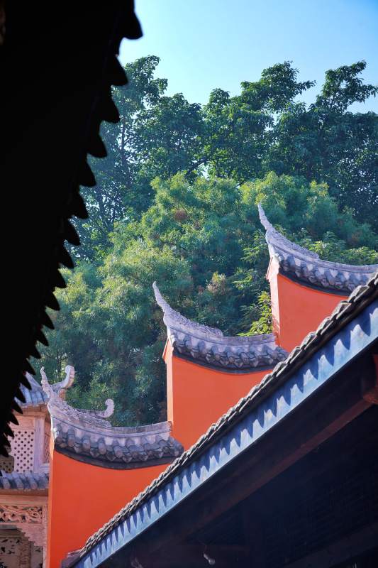 古建筑飞檐绿树图片