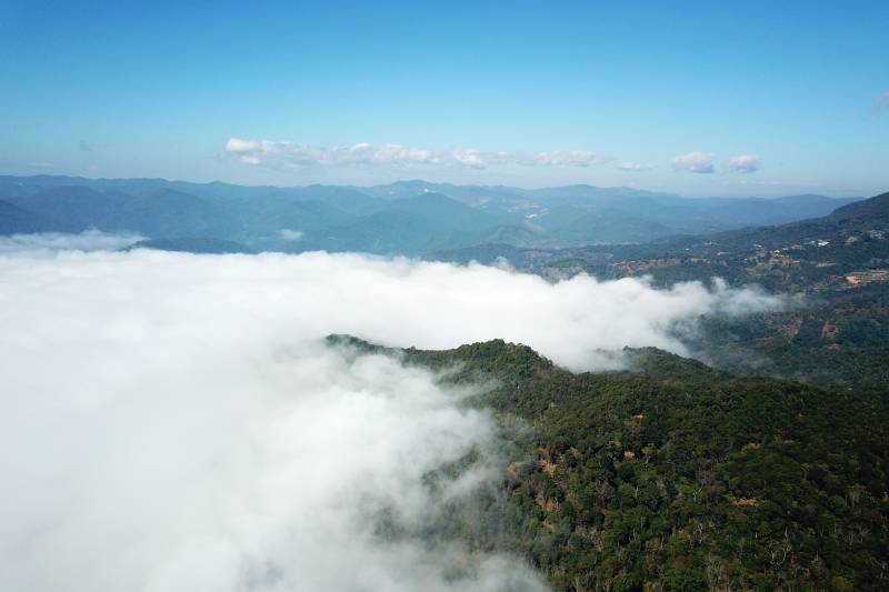 云海缭绕青山间图片