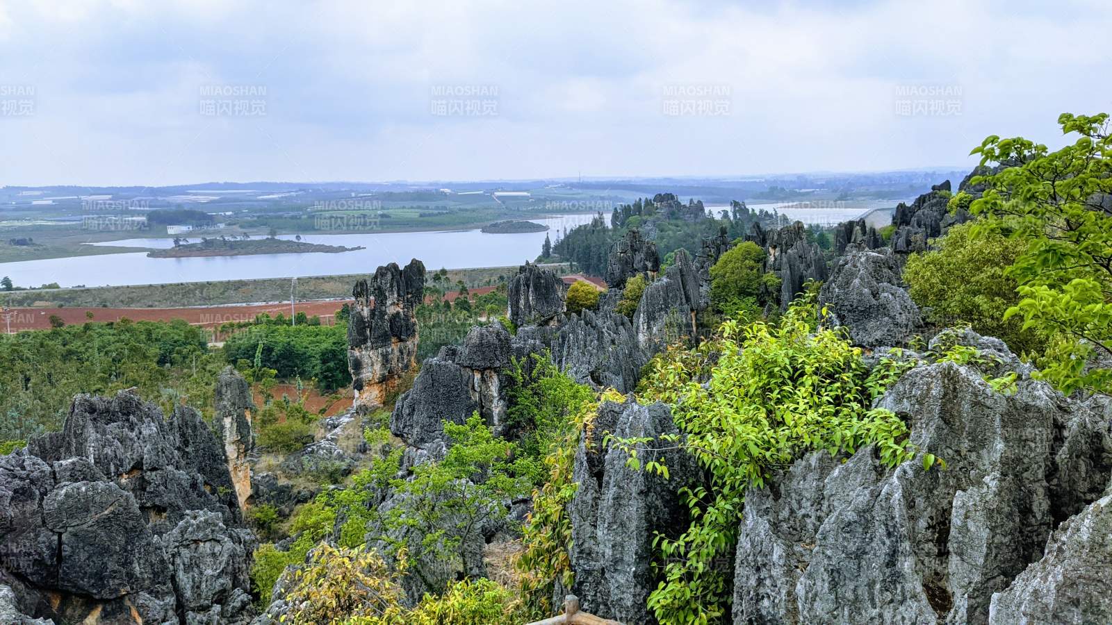 石林奇观 （云南乃古石林风景区）图片