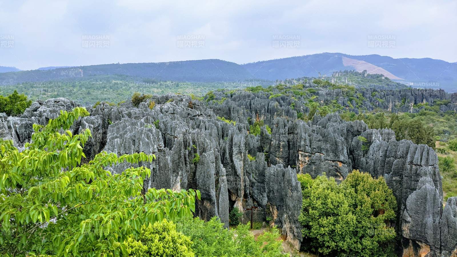 石林奇观 绿野环绕（云南乃古石林风景区）图片