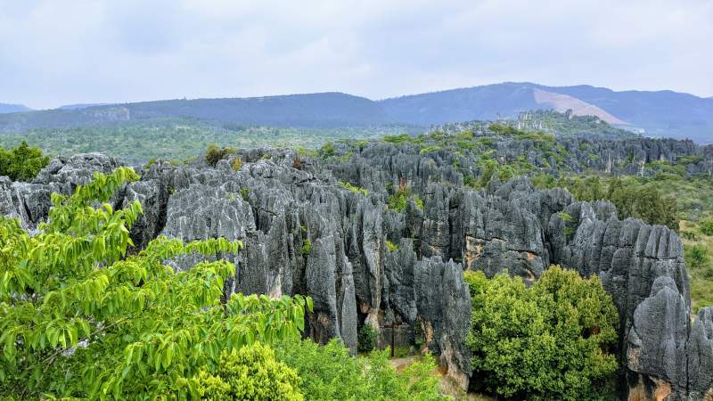 石林奇观 绿野环绕（云南乃古石林风景区）图片