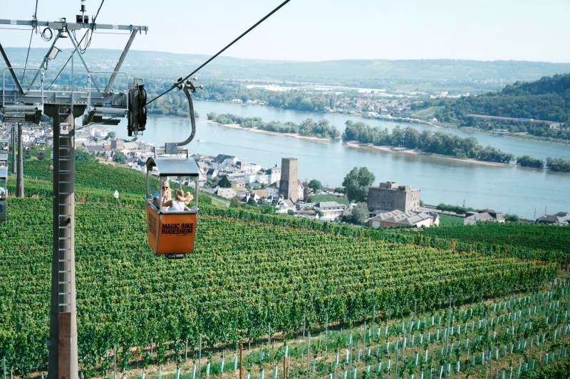 缆车俯瞰葡萄园与河谷风光图片