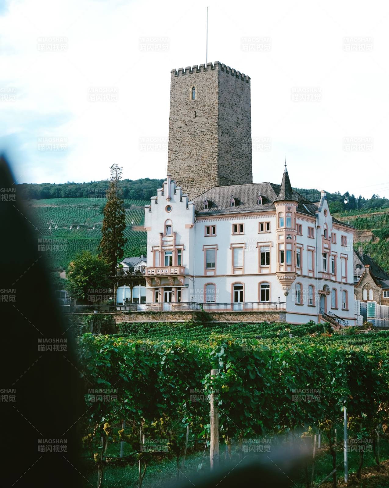 古堡矗立葡萄园中图片