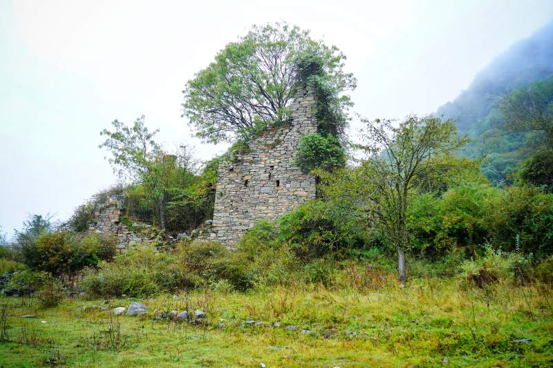 古堡残垣隐于青山绿树间图片