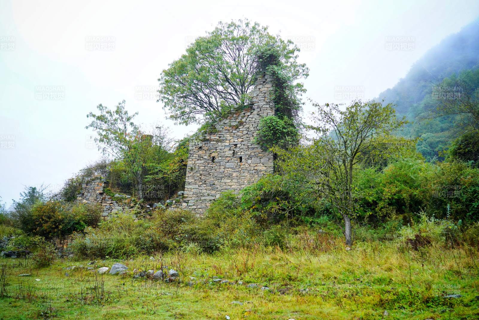 小金县古堡残垣隐于青山绿树间图片
