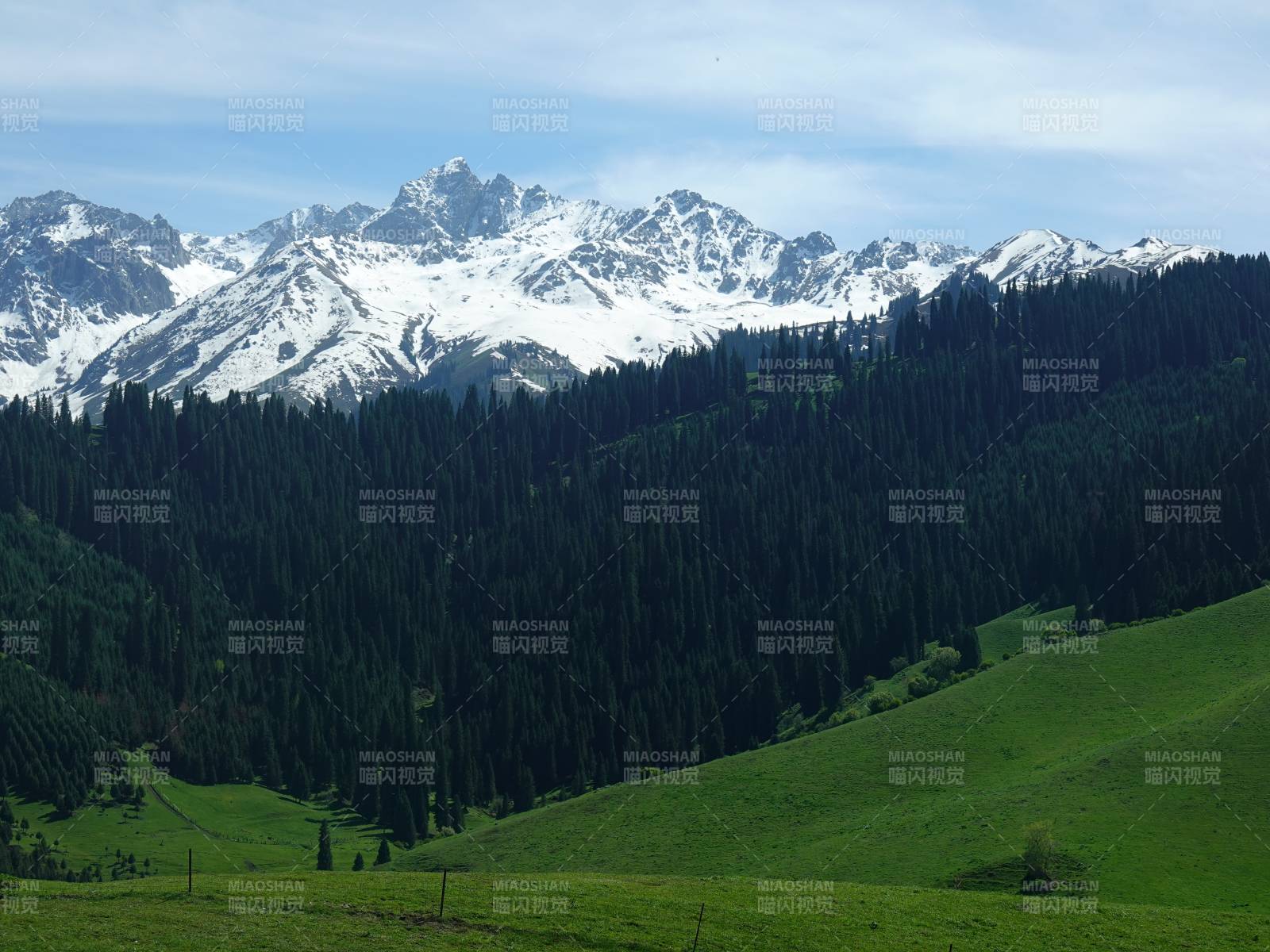 雪山绿谷 林海苍茫图片
