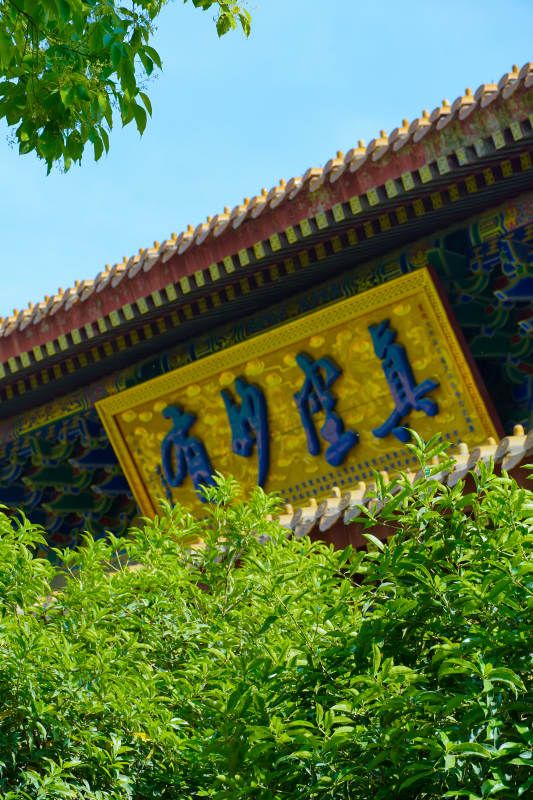 古建牌匾映绿树蓝天图片