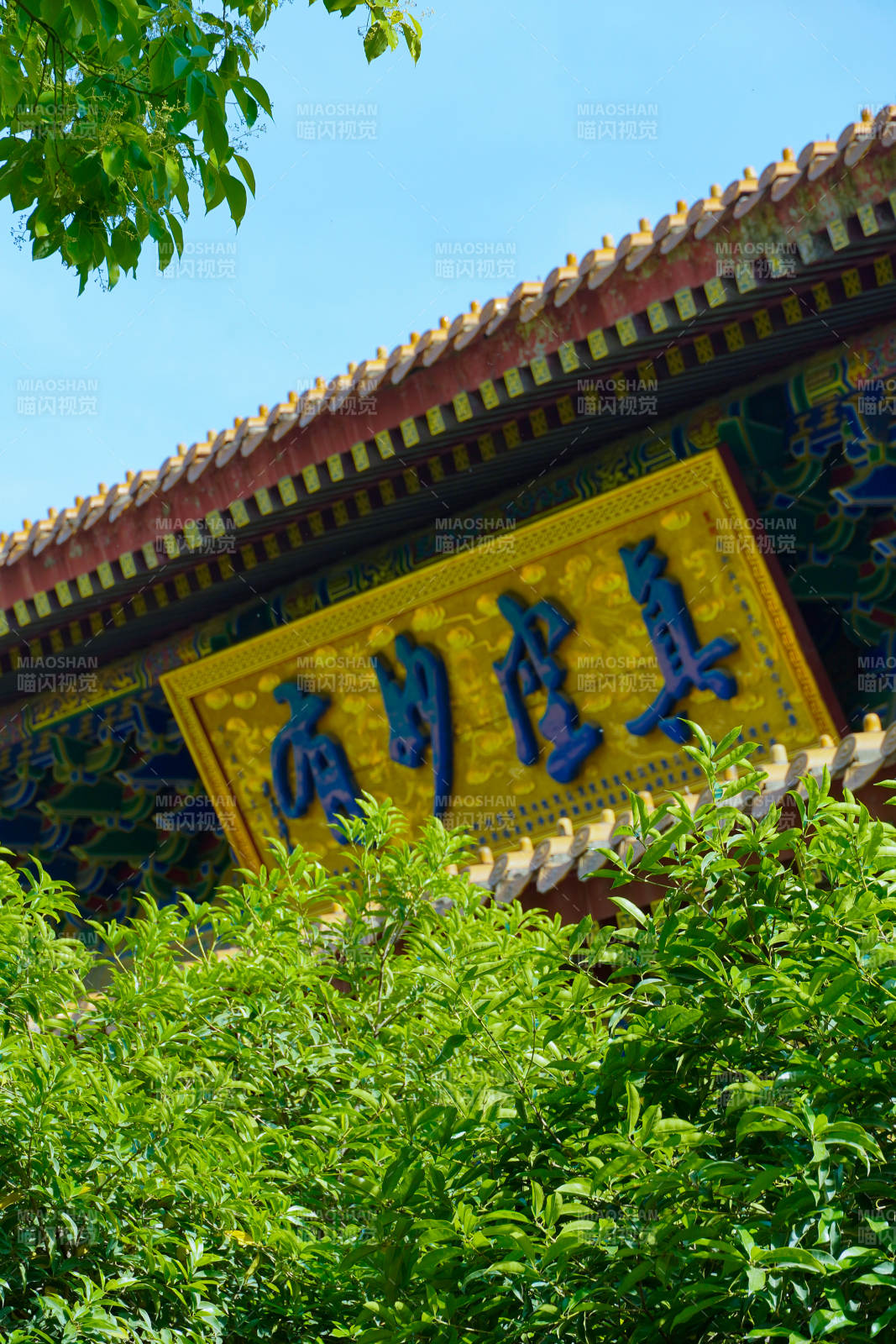 古建牌匾映绿树蓝天图片