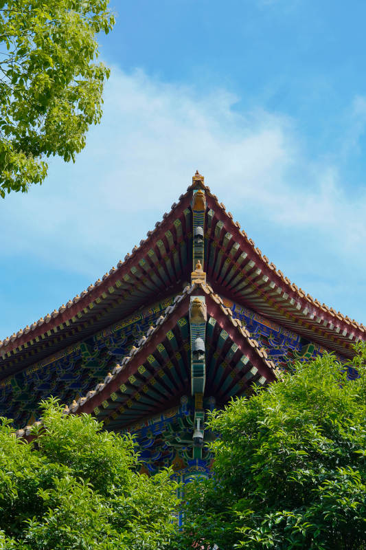 古建飞檐映蓝天绿树间图片