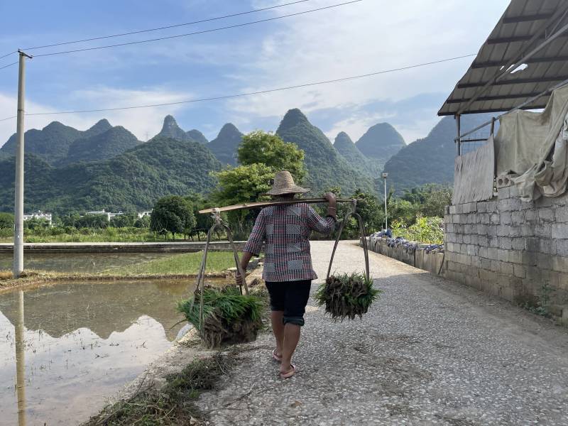 挑担农妇行于山水间图片
