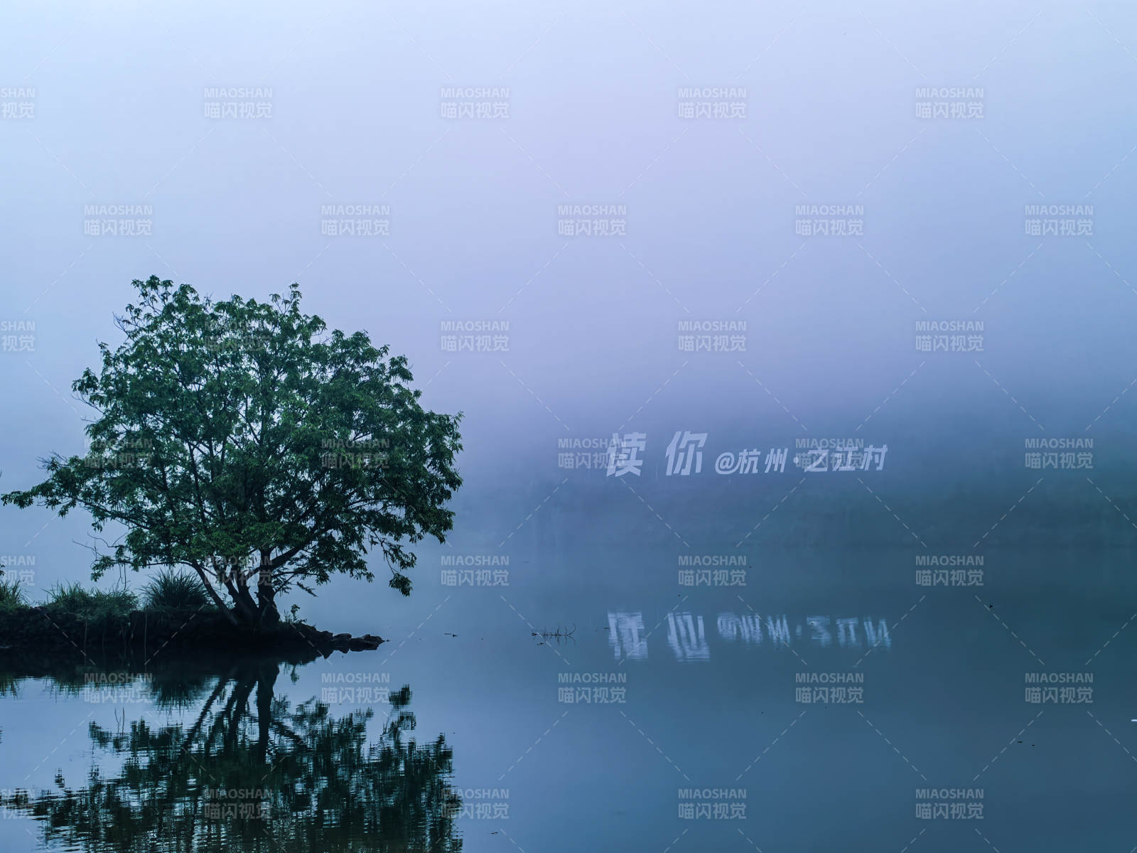 雾锁孤树 静水映心图片