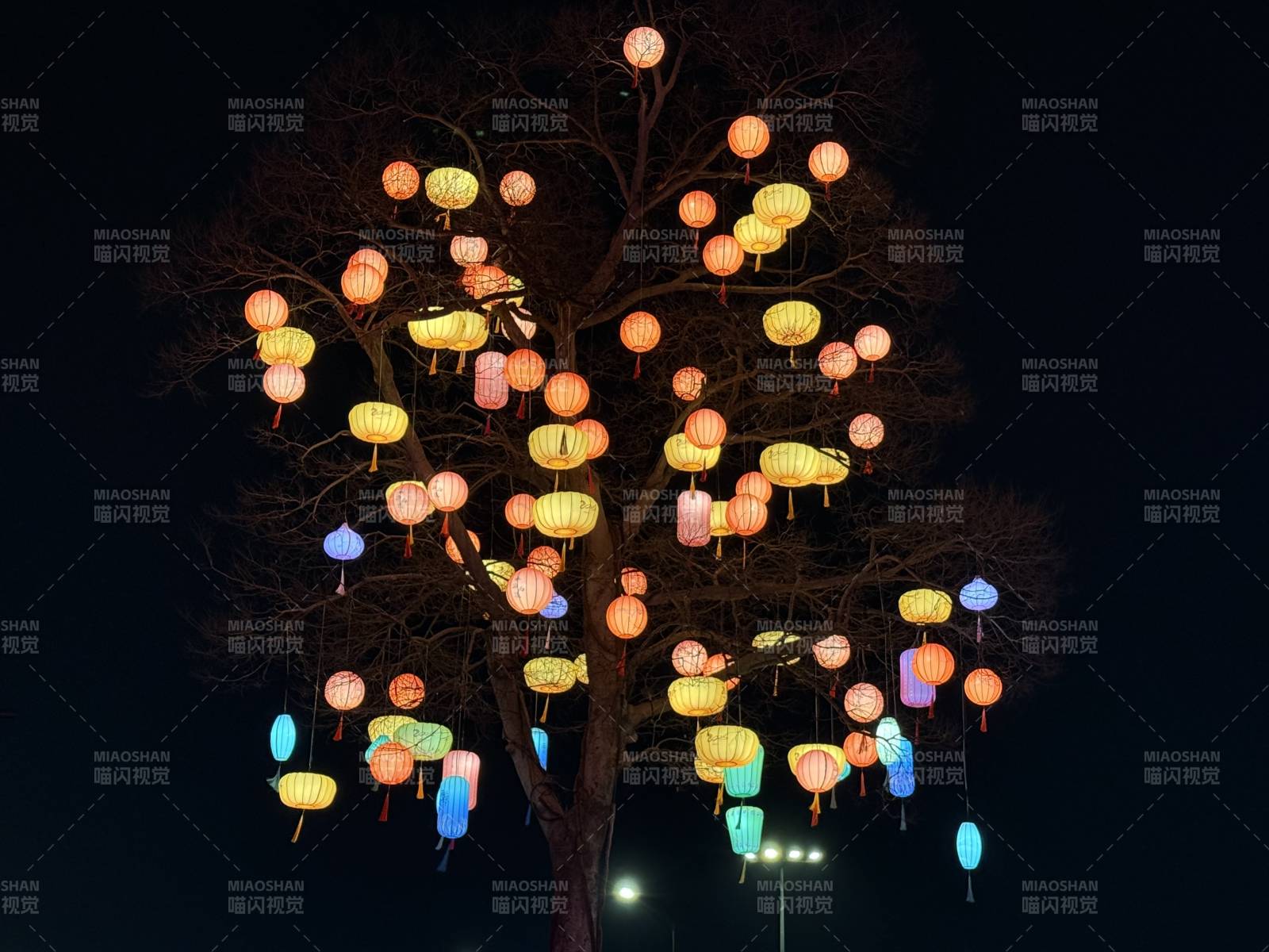 夜树挂彩灯 梦幻如星河图片