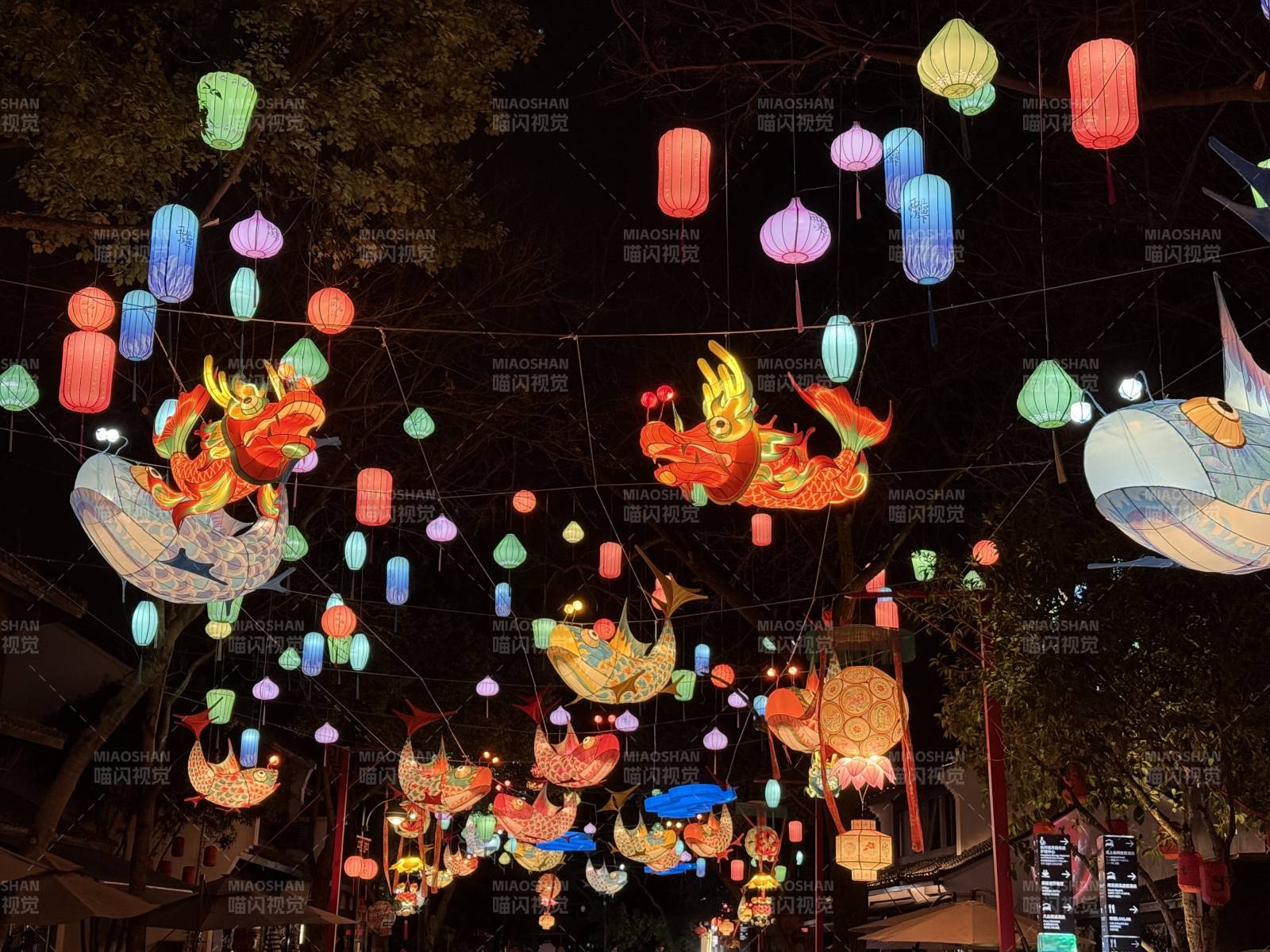 夜灯如海 龙鱼共舞图片