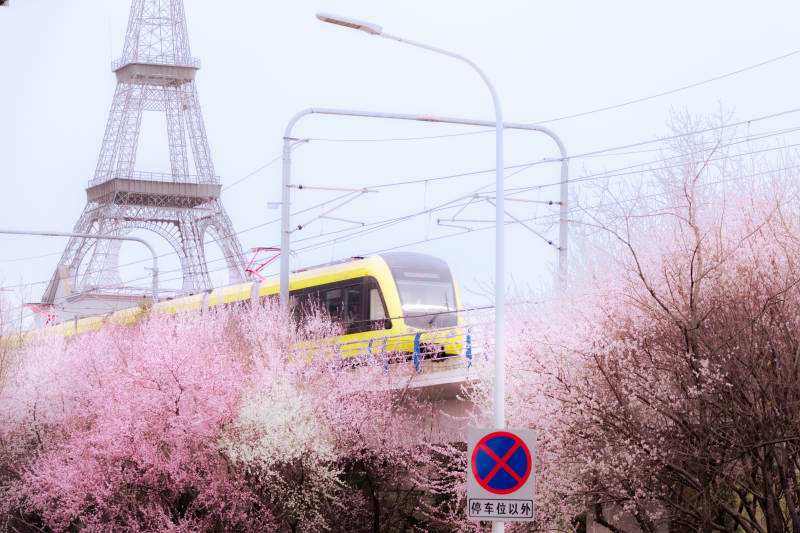 樱花列车驶过埃菲尔铁塔图片
