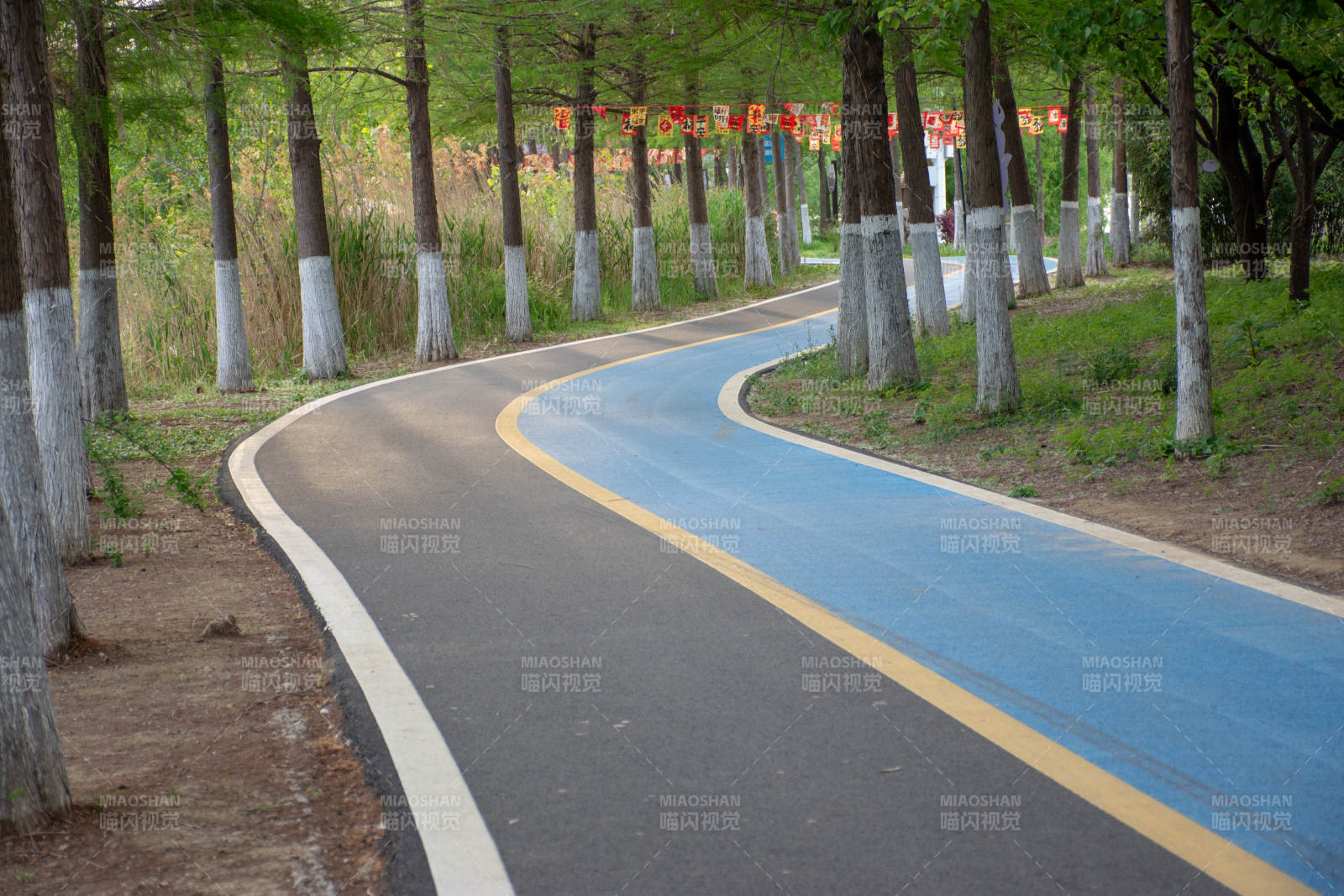 林间蓝道 曲径通幽处图片