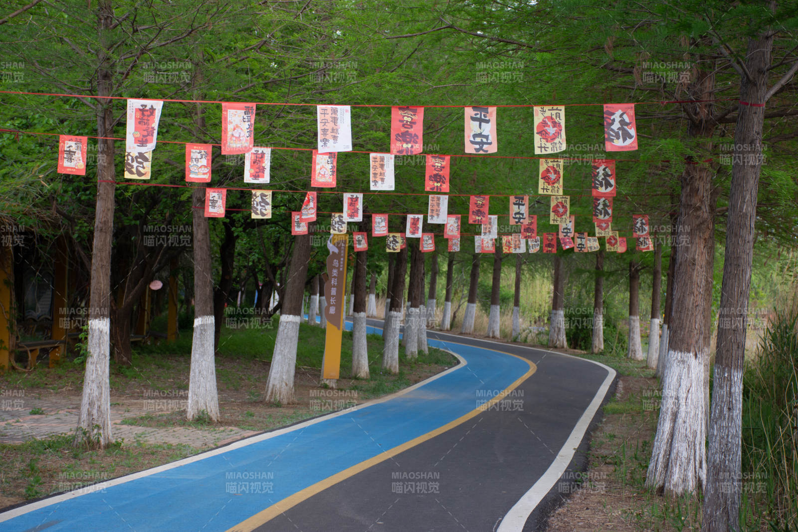 台儿庄双龙湖观鸟园林荫彩旗小径蜿蜒前行图片