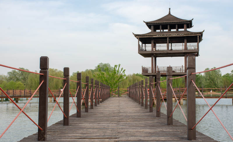 台儿庄双龙湖观鸟园湖上木桥连古亭图片