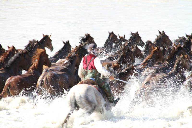 牧民驱马渡河 水花飞溅图片