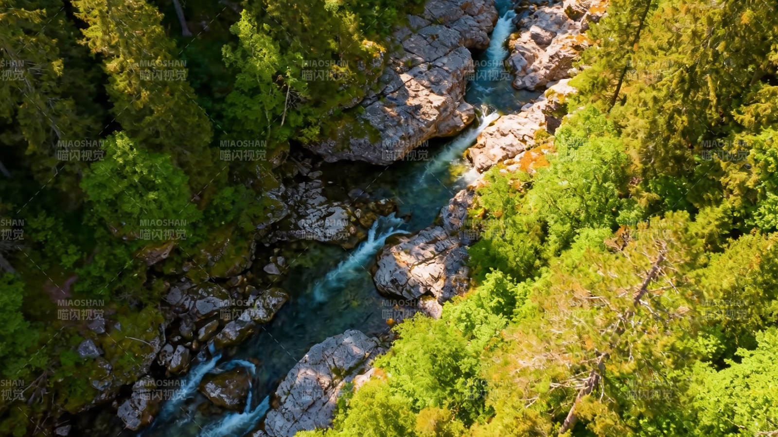 森林溪流蜿蜒穿石谷图片