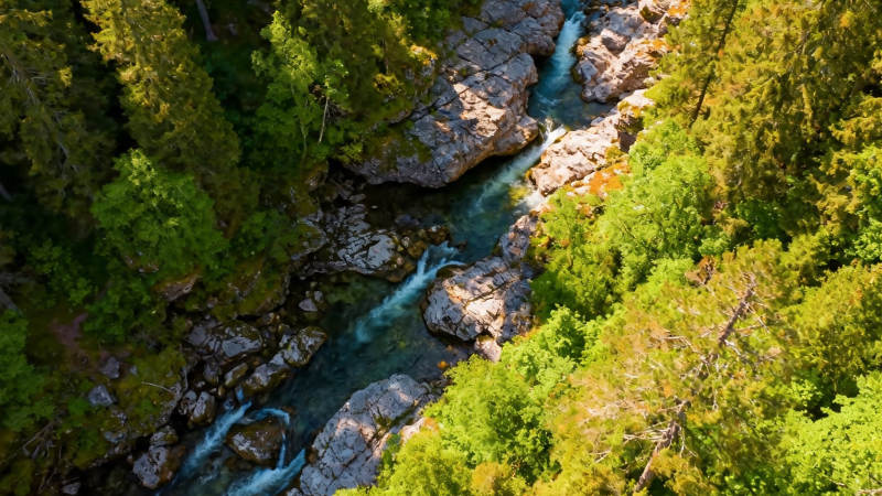 森林溪流蜿蜒穿石谷图片