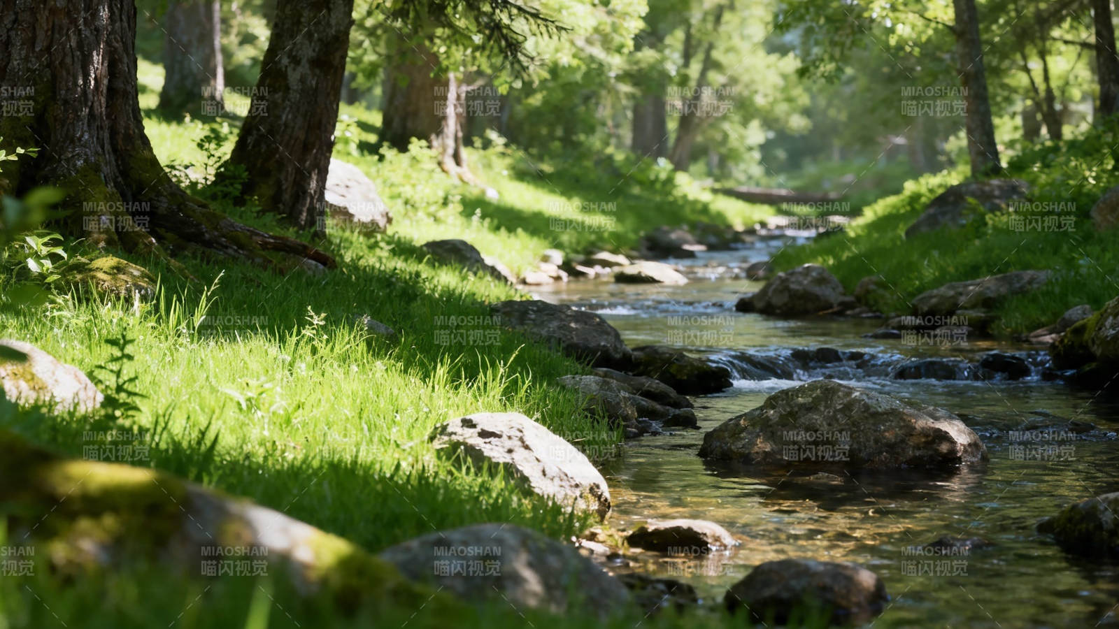 林间溪流 绿意盎然图片