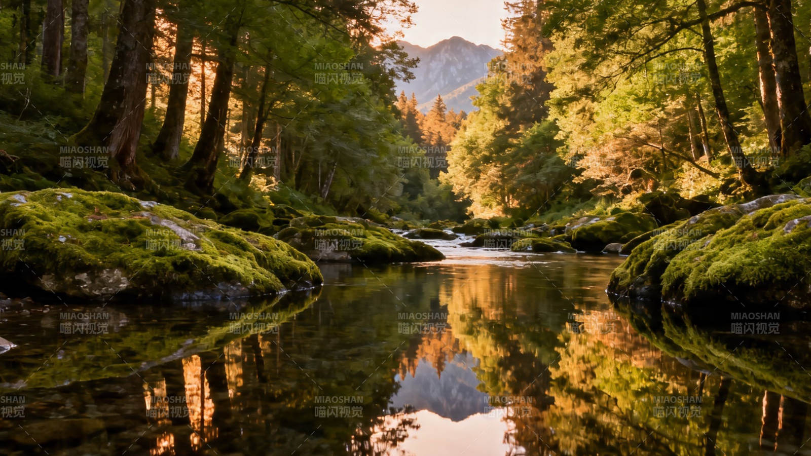 林间溪流映山影图片