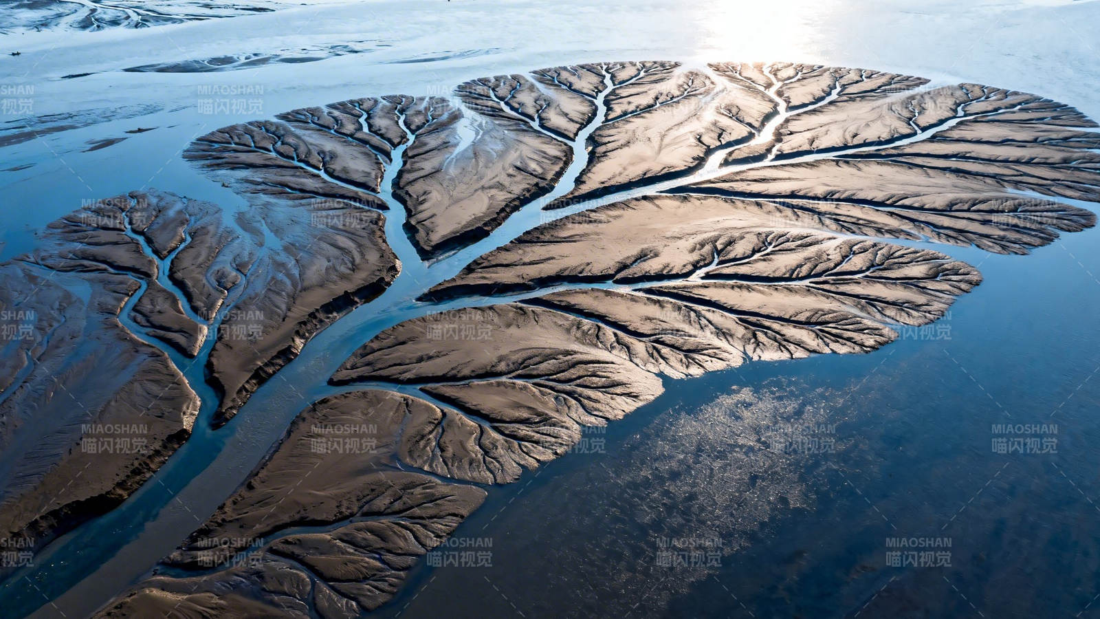 冰河叶脉 大地之纹图片