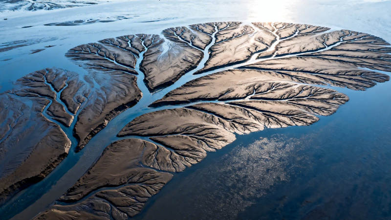 冰河叶脉 大地之纹图片