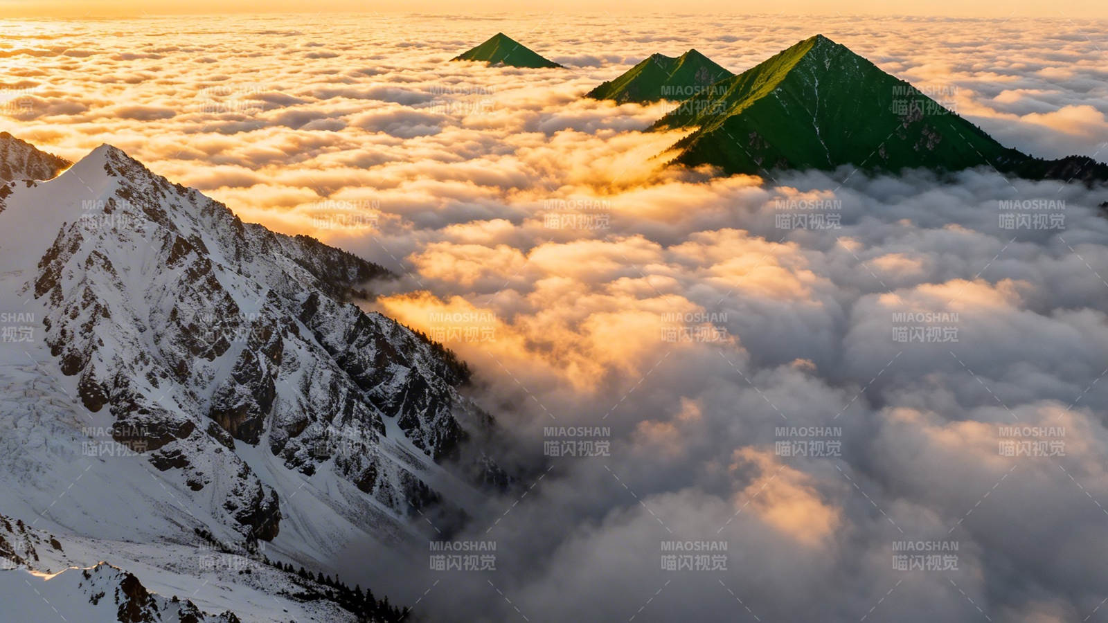 云海之上 雪山映金辉图片