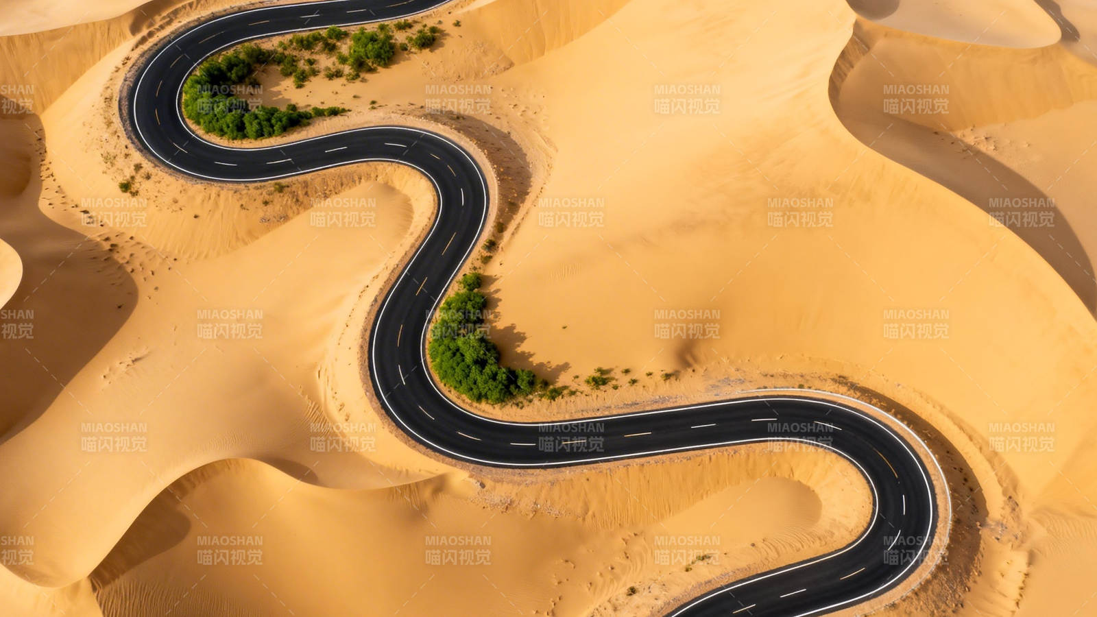 沙漠蜿蜒公路 绿洲点缀其间图片