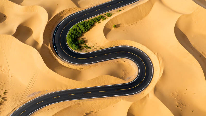 沙漠中的绿色奇迹之路图片