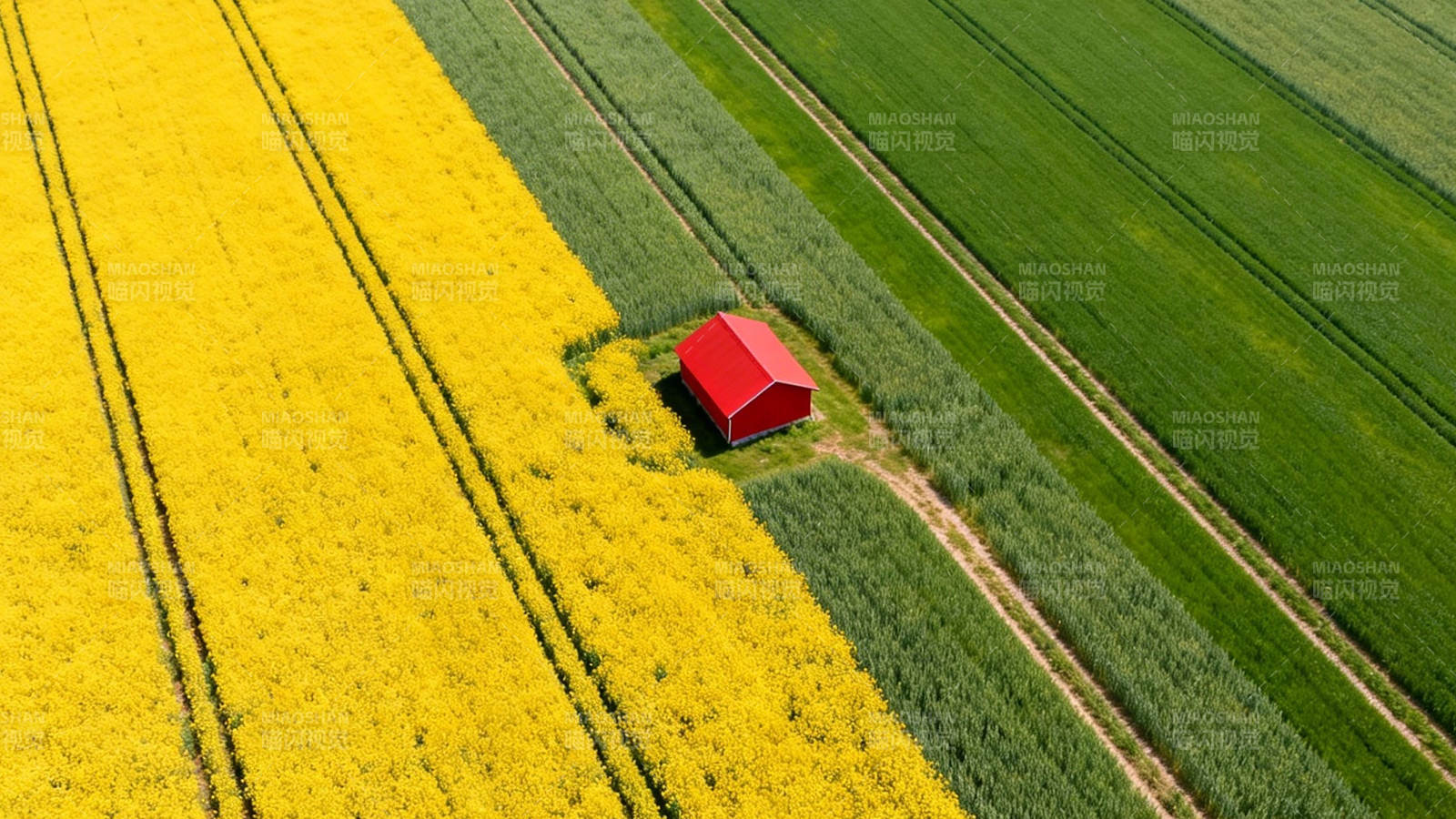 红屋卧花海 绿野如画境图片