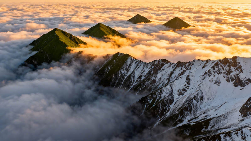 云海金峰 雪岭晨曦图片